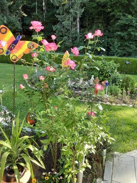 Foto - Ferien im Bay.Wald Bayern grosse Ferienwohnung