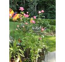 Ferien im Bay.Wald Bayern grosse Ferienwohnung - Waldkirchen