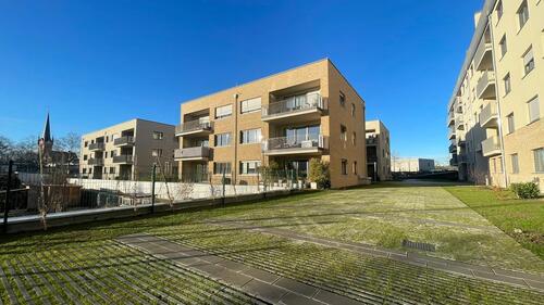 Foto - Neubau-2-Raumwohnung in Dresden Pirnaische Vorstadt - Wentzel Dr. -