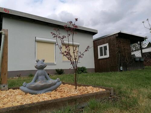 Foto - gepflegter Kleingarten abzugeben.