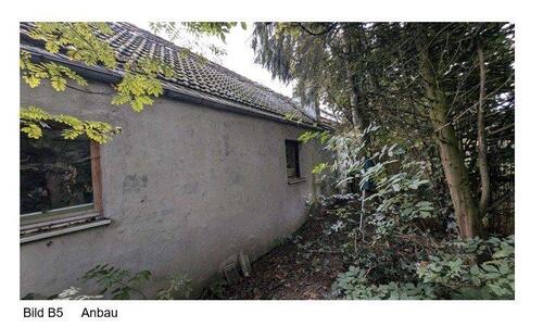 Foto - Einfamilienhaus in Schönborn zum Kaufen