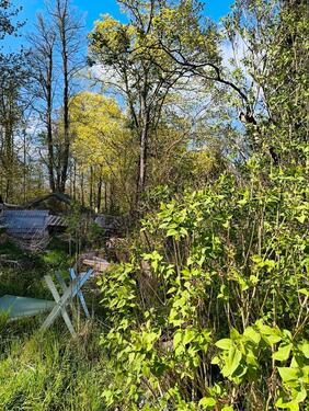 Foto - Doppelhaushälfte in Waren (Müritz) zum Kaufen