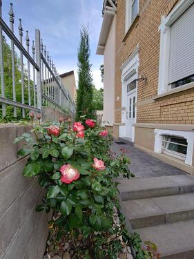 Foto - Einfamilienhaus kl. antike Villa