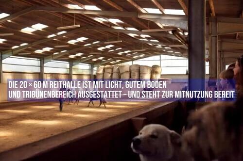 Foto - Einfamilienhaus in Schneverdingen zur Miete
