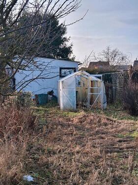 Foto - Grundst&uuml;ck in Osternienburger Land