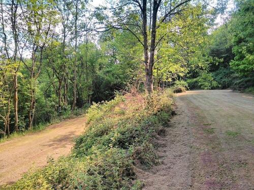 Foto - 3 Zimmer Einfamilienhaus zum Kaufen in Waldmohr