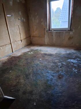 Foto - 6 Zimmer Mehrfamilienhaus, Wohnhaus in Schöppenstedt