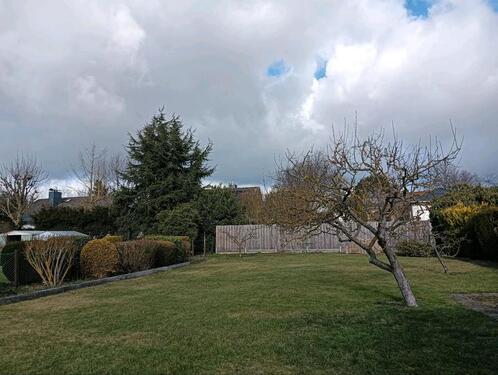 Foto - WG Zimmer in einem ruhigen Haus mit großem sonnigen Garten