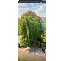 Dachgeschoss Wohnung mit Gartenanteil in Remseck sofort frei - Remseck am Neckar