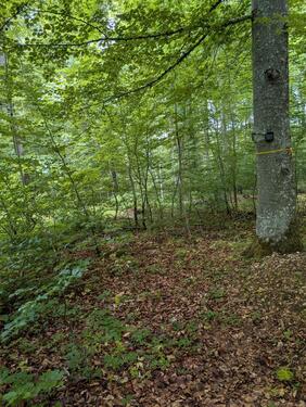 Foto - Grundst&uuml;ck zur Miete in Emmingen-Liptingen