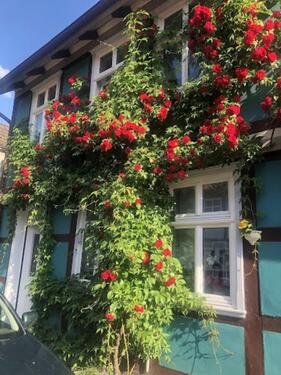 Foto - Stadthaus in Wendland - 180.000,00&nbsp;EUR Kaufpreis, ca.&nbsp; 160,00&nbsp;m&sup2;