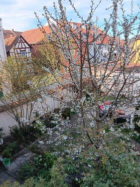 Foto - 3 Familien Haus - 450.000,00&nbsp;EUR Kaufpreis, ca.&nbsp; 300,00&nbsp;m&sup2;