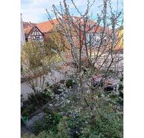 3 Familien Haus - 450.000,00&nbsp;EUR Kaufpreis, ca.&nbsp; 300,00&nbsp;m&sup2; in Bad Windsheim (PLZ: 91438)