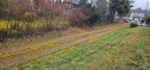 Foto - Grundst&uuml;ck zur Miete in Klettgau