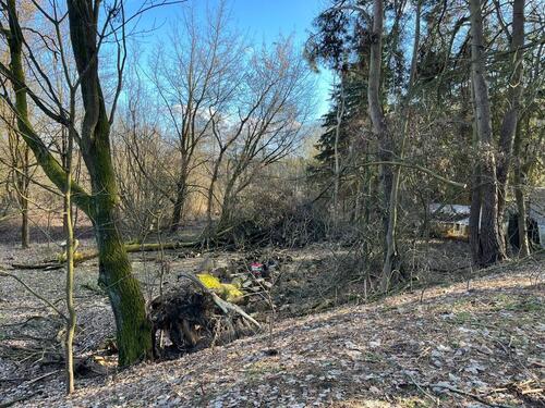 Foto - Grundst&uuml;ck in Bestensee