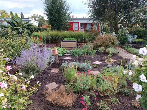 Foto - Schöner Pachtgarten in einer Kleingartenanlage abzugeben