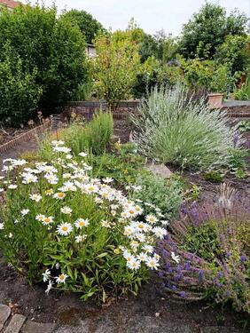 Foto - Grundst&uuml;ck in Halle (Saale) zur Miete