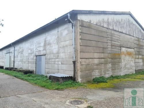 Foto - andere in Brand-Erbisdorf