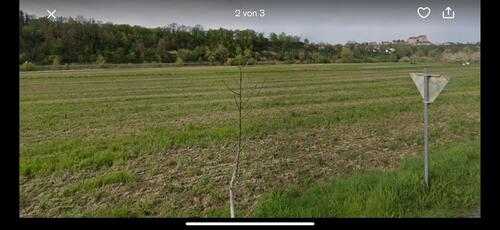 Foto - Letztes Baugrundstück Burg Blick unverbaubar Burghausen München