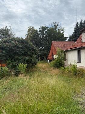 Foto - 5 Zimmer Einfamilienhaus in Bad Lauterberg im Harz