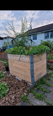 Foto - Grundst&uuml;ck in Plauen zur Miete