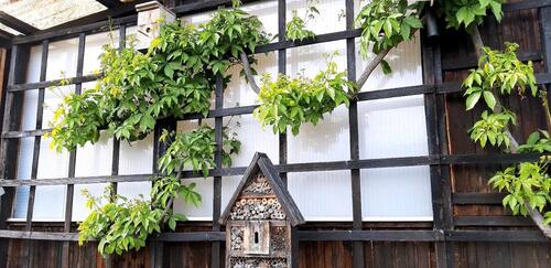 Foto - Grundst&uuml;ck zur Miete in Coswig