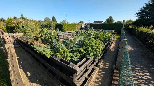 Foto - Grundstück in Leipzig zur Miete