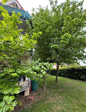 Foto - 2 ZKB Wohnung mit Terrasse Stellplatz neu saniert Weimar Ulla