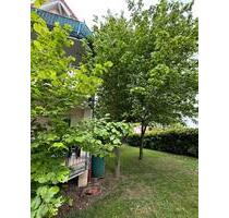 2 ZKB Wohnung mit Terrasse Stellplatz neu saniert Weimar Ulla - Grammetal