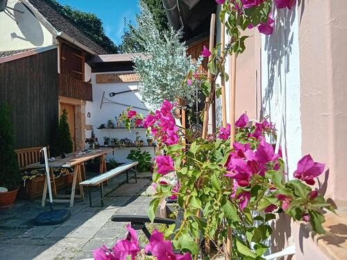 Foto - 6 Zimmer Einfamilienhaus in Weisenheim am Sand