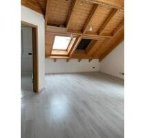 Schöne DG Galeriewohnung in Heinsheim, neue EBK, neue Böden, etc. - Bad Rappenau