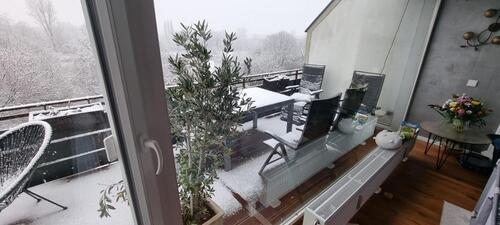 Foto - 3 Zimmer Einfamilienhaus in Düsseldorf