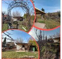 Kleingarten - 1.800,00&nbsp;EUR Kaltmiete, ca.&nbsp; 0,00&nbsp;m&sup2; in Dresden (PLZ: 01219) Prohlis