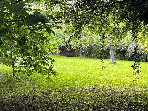 Foto - Garten Streuobstwiese in Kronberg, eingezäunt