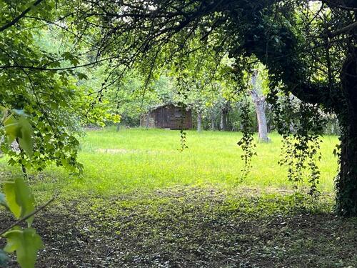 Foto - Grundstück zur Miete in Kronberg im Taunus