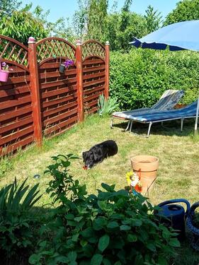 Foto - Grundst&uuml;ck zur Miete in Weißenfels