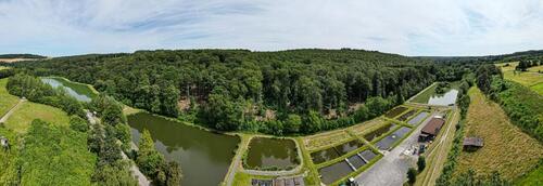 Foto - Ferienwohnung am See, Monteurzimmer
