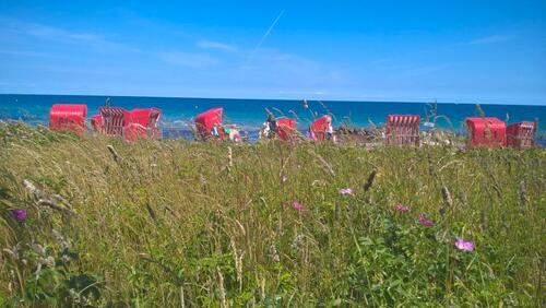 Foto - Ferienwohnung in Schönhagen Ostsee Schleswig-Holstein mieten!