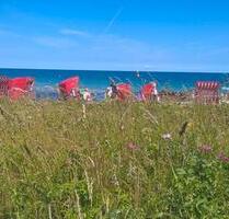 Ferienwohnung in Schönhagen Ostsee Schleswig-Holstein mieten! - Dörphof