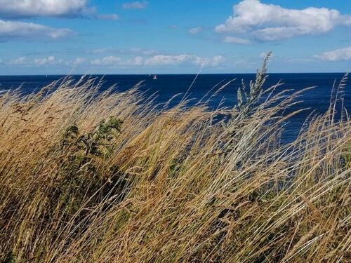 Foto - andere in Dörphof