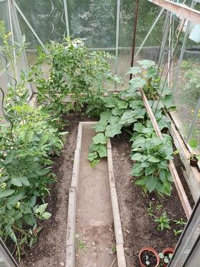 Foto - Grundst&uuml;ck in Spremberg zur Miete