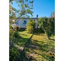 Kleingarten in Söllichau - 1.800,00&nbsp;EUR Kaltmiete, ca.&nbsp; 0,00&nbsp;m&sup2; in Bad Schmiedeberg (PLZ: 06905)