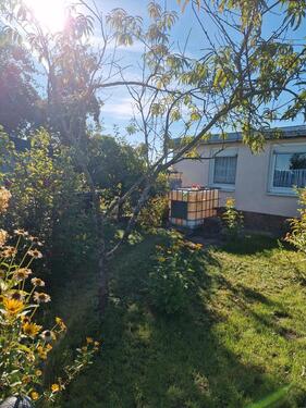 Foto - Grundst&uuml;ck zur Miete in Bad Schmiedeberg