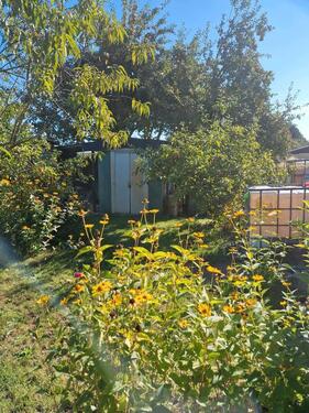 Foto - Grundst&uuml;ck in Bad Schmiedeberg