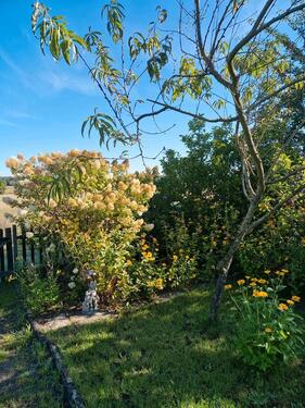 Foto - Grundst&uuml;ck in Bad Schmiedeberg zur Miete
