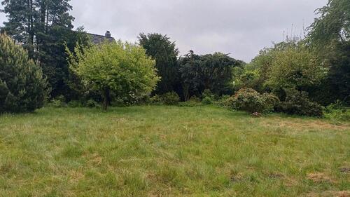 Foto - 6 Zimmer Einfamilienhaus in Wennigsen (Deister)