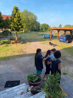 Foto - andere zur Miete in Löwenberger Land