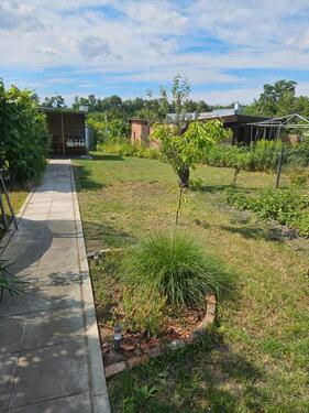 Foto - Garten im Kleingartenverein Cotta