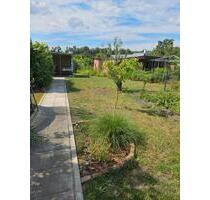 Garten im Kleingartenverein Cotta - Tharandt