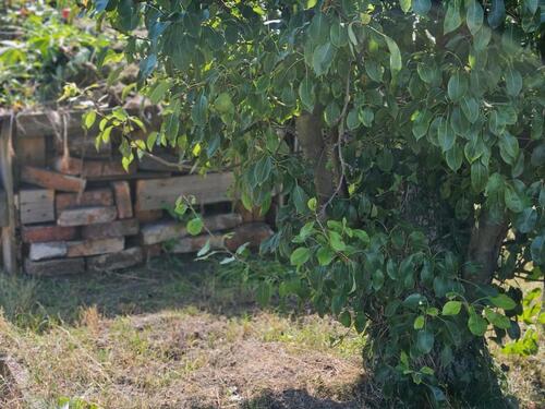 Foto - Grundstück in Tharandt zur Miete